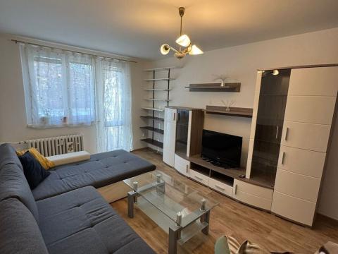 Pronájem bytu 2+1, Chomutov, Marie Pujmanové, 53 m2