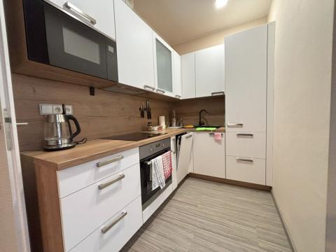 Pronájem bytu 2+kk, Plzeň - Jižní Předměstí, Doudlevecká, 39 m2