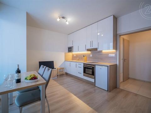 Pronájem bytu 1+kk, České Budějovice - České Budějovice 7, Lidická tř., 27 m2