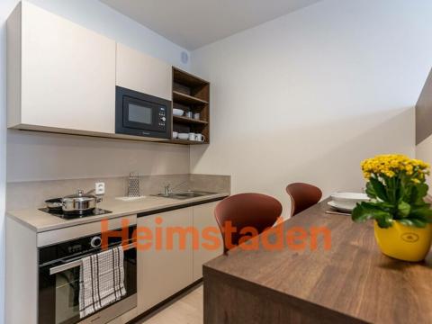 Pronájem bytu 1+kk, Plzeň - Jižní Předměstí, Magisterská, 31 m2