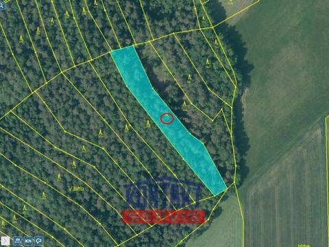 Prodej lesa, Soběnov, 2929 m2