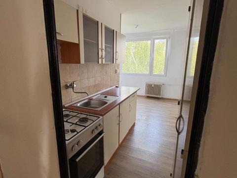Pronájem bytu 1+1, Duchcov, V Domkách, 44 m2