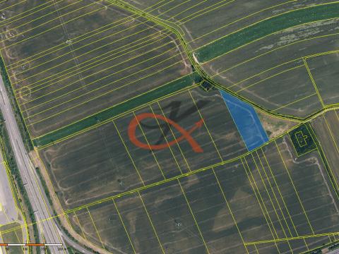 Prodej pole, Olomouc, 7197 m2