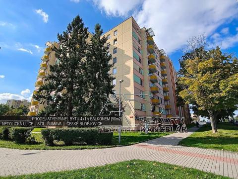 Prodej bytu 4+1, České Budějovice, Netolická, 85 m2