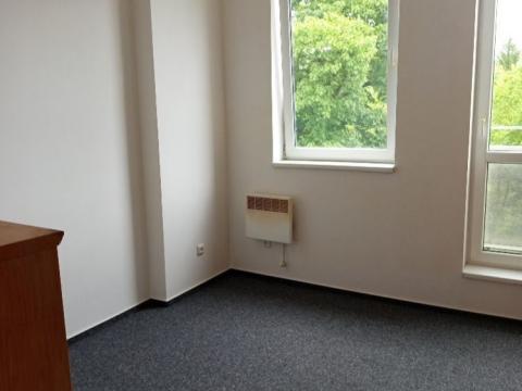 Pronájem bytu 1+kk, Sázava, Poznaňská, 17 m2