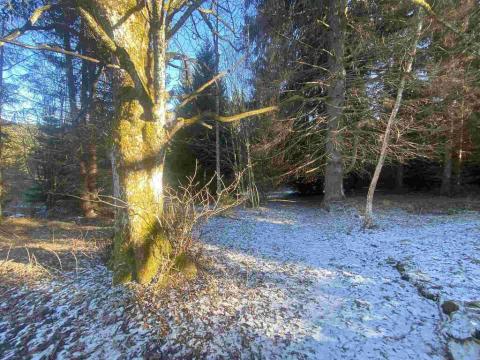 Prodej pozemku, Čachrov - Javorná, 12768 m2