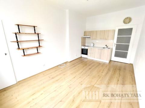 Pronájem bytu 1+kk, Praha - Nusle, Žateckých, 23 m2
