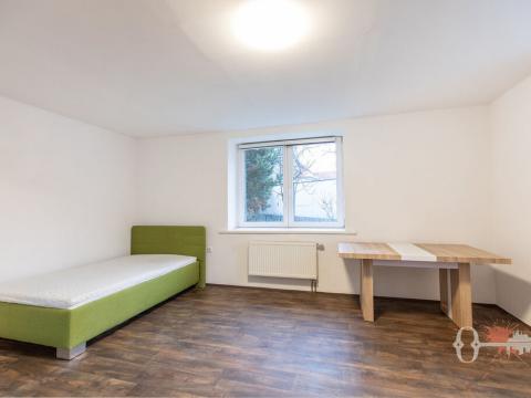 Pronájem bytu 1+kk, Tehovec, Na Hrázi, 61 m2