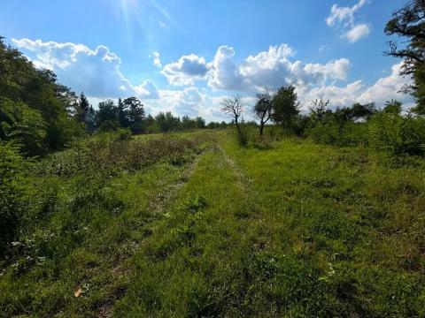 Prodej pozemku pro bydlení, Krušovice, 1250 m2