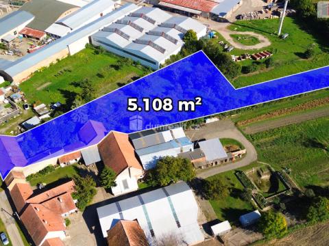 Prodej rodinného domu, Podivín, Rybáře, 190 m2