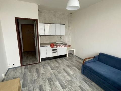 Pronájem bytu 1+kk, Most, U Věžových domů, 22 m2