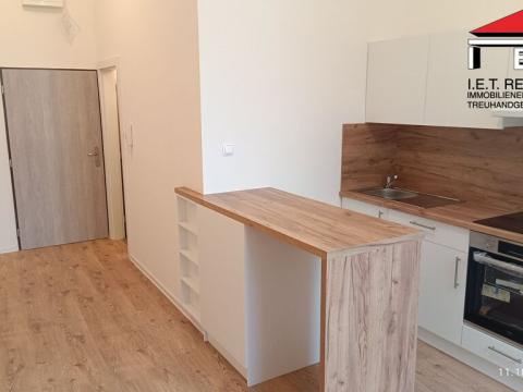 Pronájem bytu 1+kk, Ostrava, Palackého, 22 m2