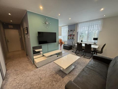 Pronájem bytu 3+1, Ostrava, Svojsíkova, 63 m2