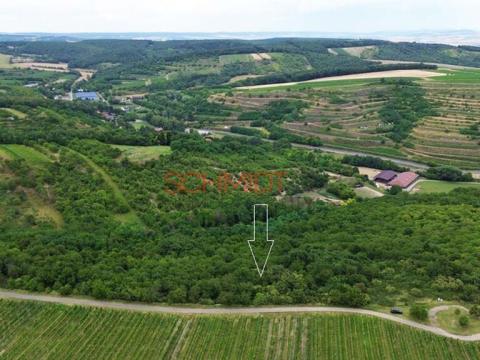 Prodej sadu/vinice, Němčičky, 835 m2