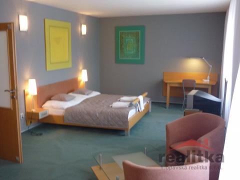 Pronájem bytu 1+kk, Opava - Město, Horní náměstí, 45 m2