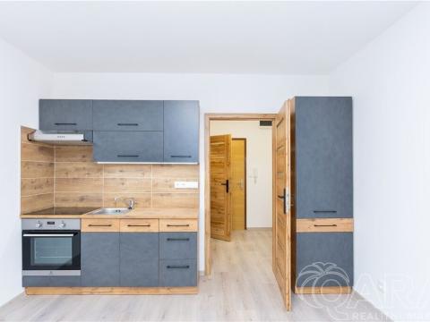 Pronájem bytu 1+kk, Tábor, Havanská, 29 m2