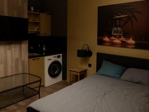 Pronájem bytu 1+kk, Praha - Žižkov, Hartigova, 22 m2