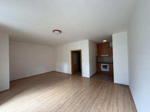 Pronájem bytu 1+kk, Brno - Brno-město, Panská, 37 m2