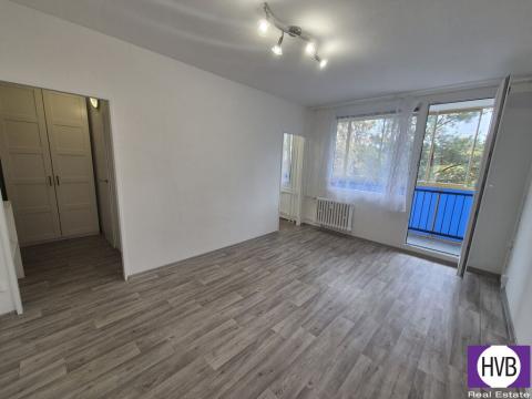 Pronájem bytu 1+kk, Praha, Bílinská, 27 m2