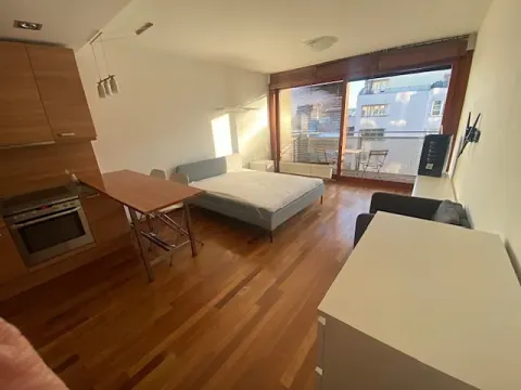 Pronájem bytu 1+kk, Praha - Vysočany, Paříkova, 20 m2