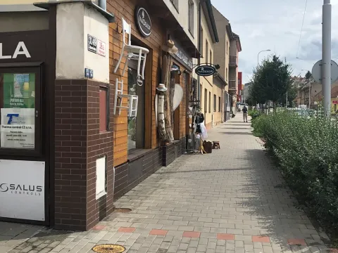 Pronájem pokoje, Brno, Horova, 20 m2