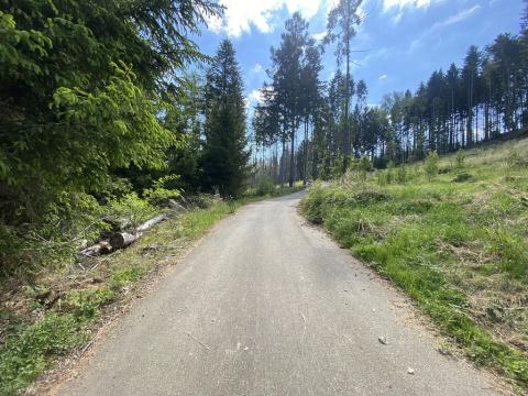 Prodej lesa, Kladruby, 698 m2