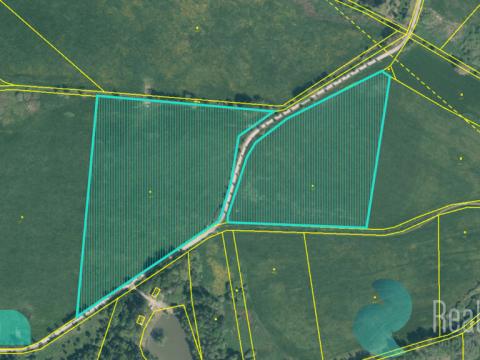 Prodej podílu 1/4 louky, Drmoul, 12559 m2