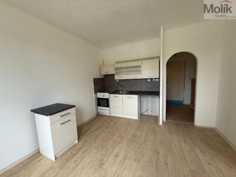 Pronájem bytu 1+1, Bílina - Teplické Předměstí, Sídliště Za Chlumem, 35 m2