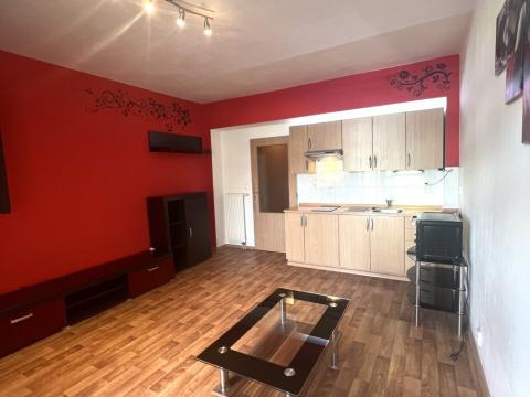 Pronájem bytu 1+kk, Plzeň - Severní Předměstí, Sedlecká, 32 m2