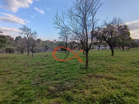 Prodej pozemku pro bydlení, Ostrata, 6187 m2