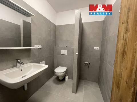 Pronájem bytu 2+kk, Ostrava - Vítkovice, Lidická, 99 m2