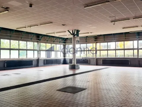 Pronájem obchodního prostoru, Praha, Za Mototechnou, 1137 m2