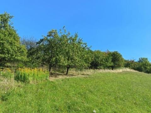 Prodej zahrady, Koryčany - Blišice, 4839 m2