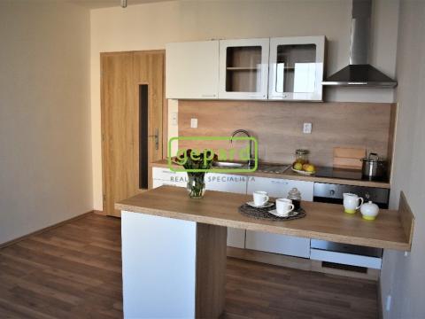 Pronájem bytu 1+kk, Brno - Žabovřesky, Voroněžská, 30 m2
