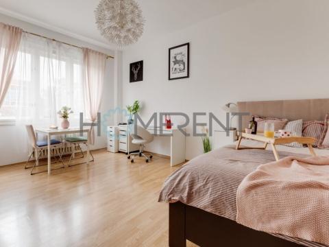 Pronájem bytu 1+1, Praha - Nusle, Na dolinách, 33 m2