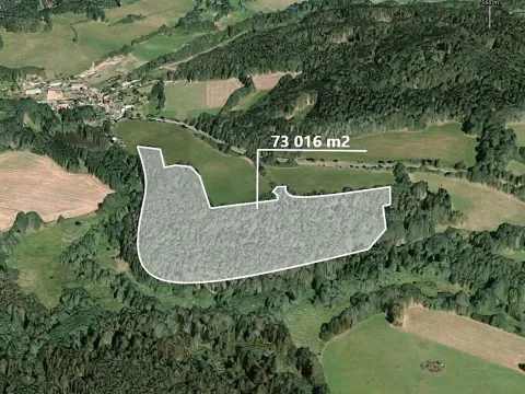 Prodej podílu lesa, Čmelíny, 7020 m2