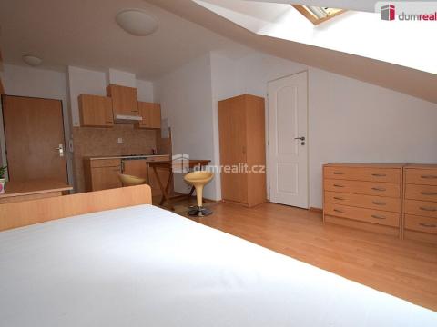 Pronájem bytu 1+kk, Praha - Smíchov, Nad Palatou, 25 m2