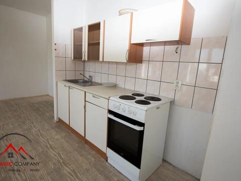 Pronájem bytu 1+kk, Třemešná, 40 m2