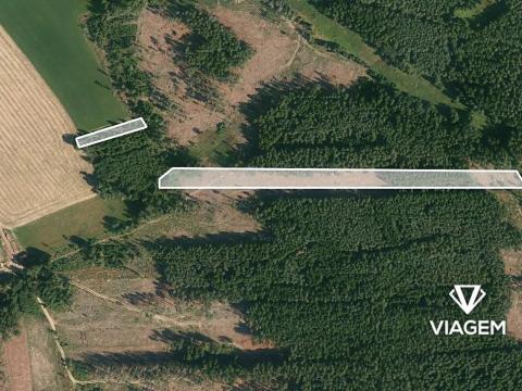 Prodej lesa, Chrbonín, 21469 m2