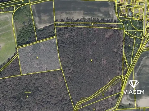 Prodej podílu lesa, Hrdlív, 2102 m2