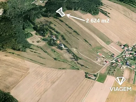Prodej podílu lesa, Kuřimská Nová Ves, 1166 m2