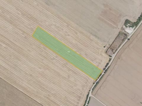 Prodej pole, Čachovice, 65324 m2