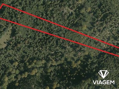 Prodej podílu lesa, Nýdek, 3108 m2