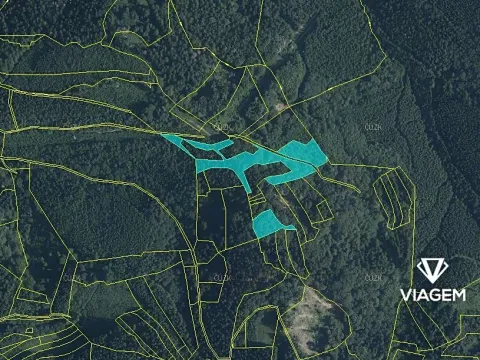 Prodej podílu lesa, Janová, 1920 m2