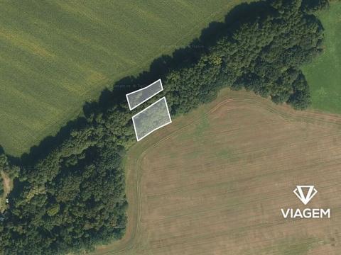 Prodej podílu pole, Mladějov na Moravě, 1655 m2