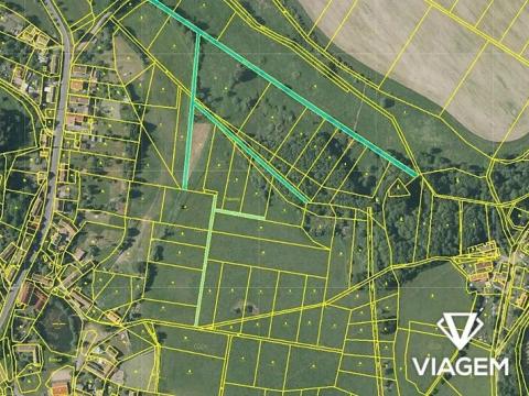 Prodej podílu pole, Oselce, 233 m2