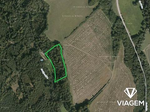 Prodej podílu lesa, Fulnek, 1868 m2