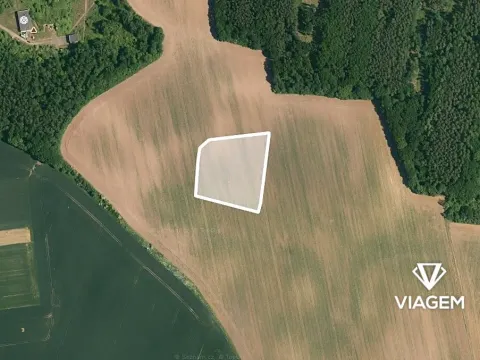 Prodej pole, Vinařice, 8647 m2