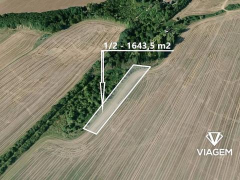 Prodej pole, Nesuchyně, 3287 m2