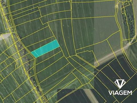 Prodej podílu pole, Radějovice, 755 m2